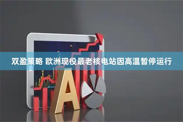 双盈策略 欧洲现役最老核电站因高温暂停运行